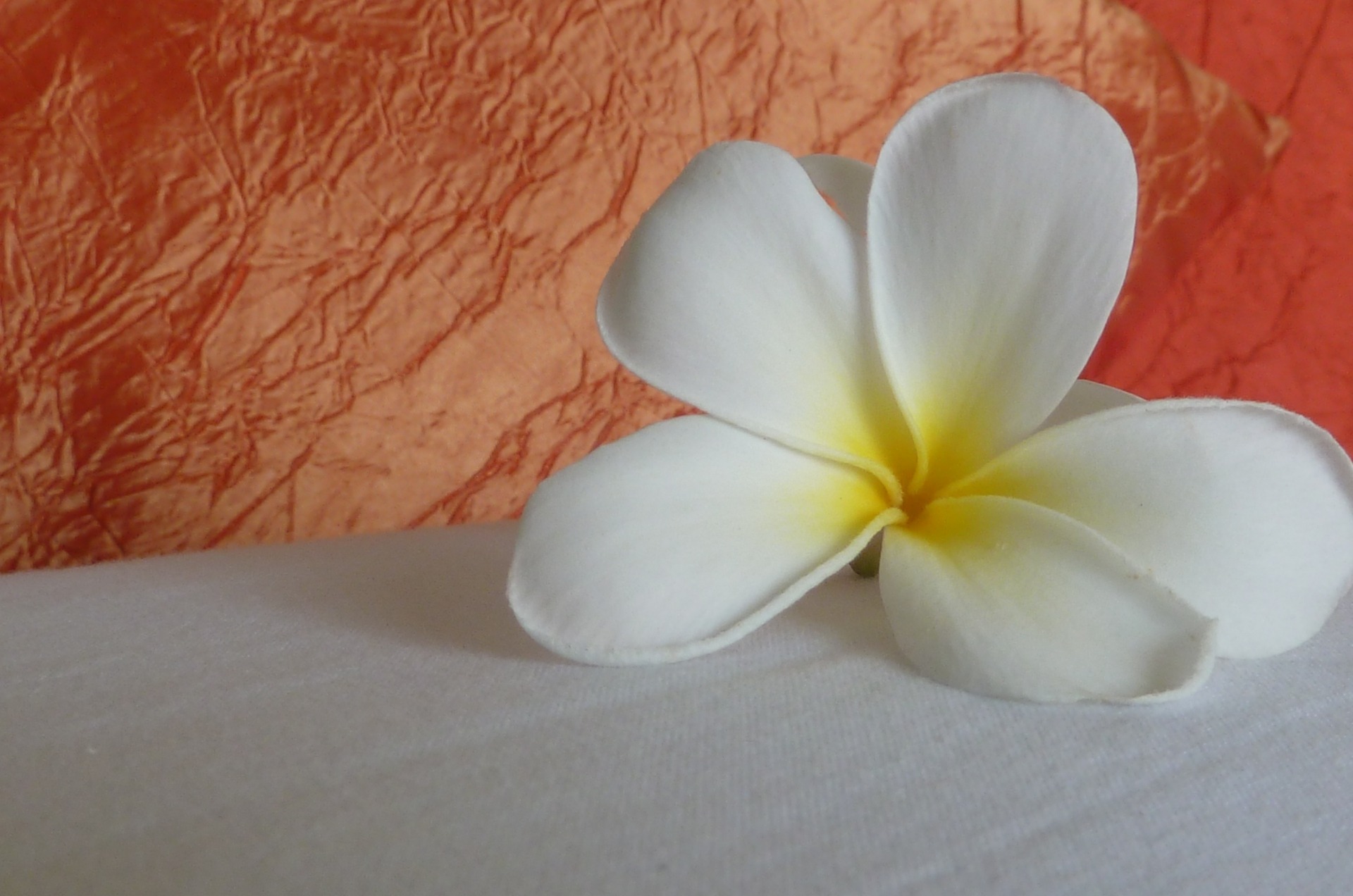 Blumendekoration im Ayurveda-Hotel "Shakti Villa" in Ambalangoda auf Sri Lanka. 