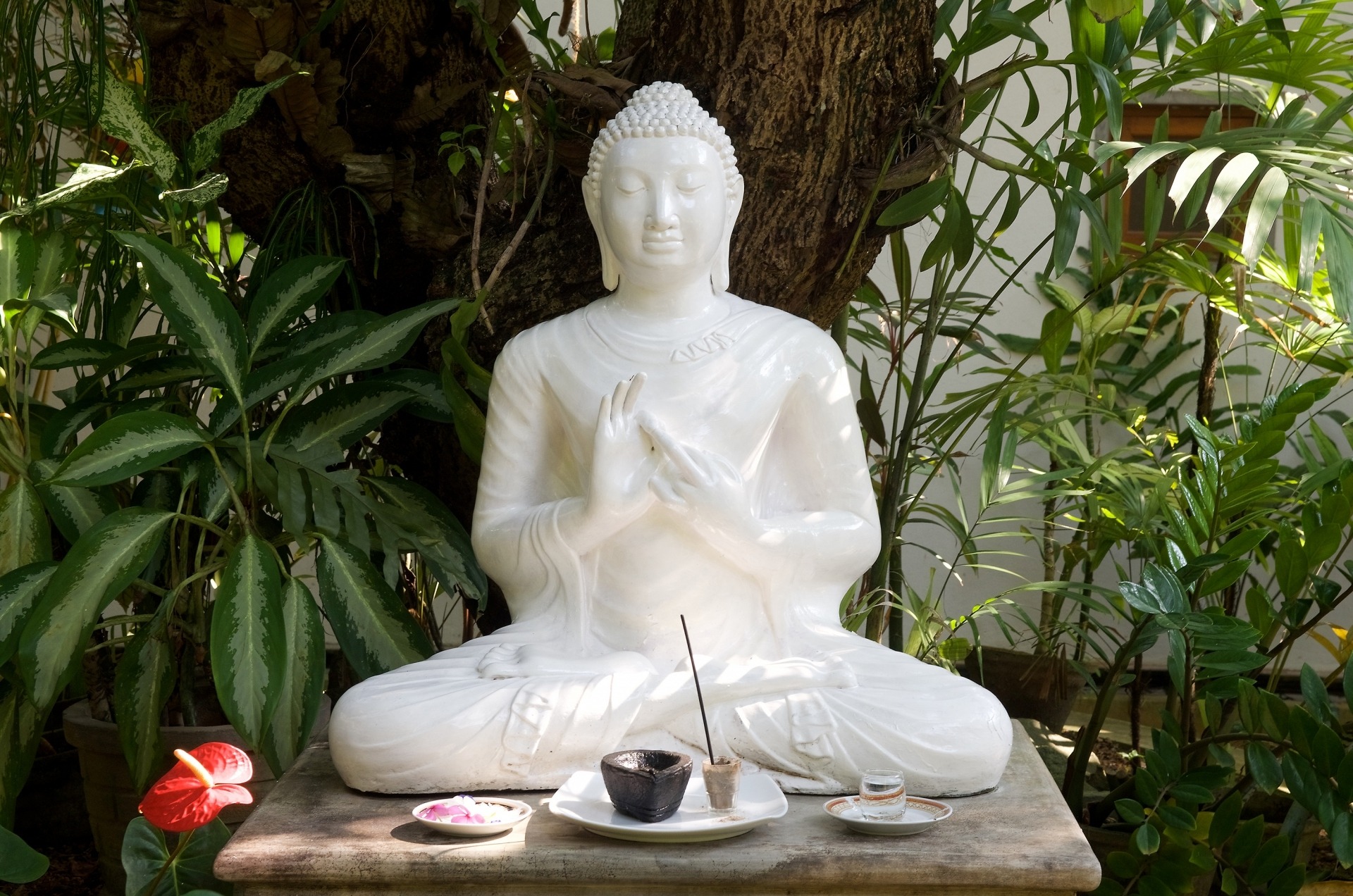 Buddha im Ayurveda-Hotel Shakti Villa, Ambalangoda, Sri Lanka