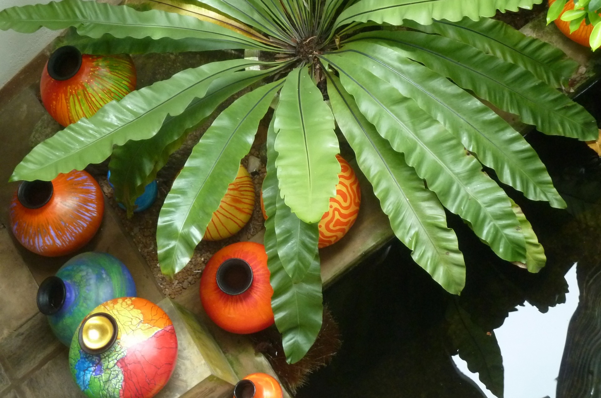 Bunte Krüge am Teich im Ayurveda-Hotel Shakti Villa, Ambalangoda, Sri Lanka