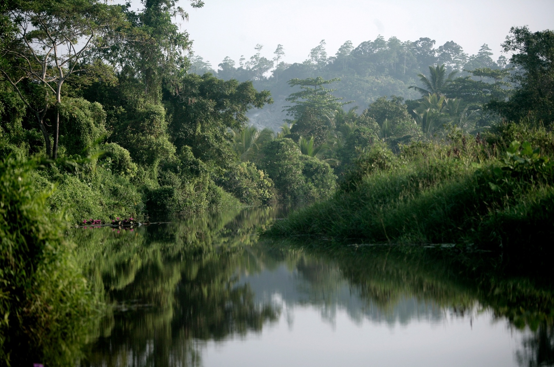 Zu sehen ist ein Seitenarm des Madu Ganga See. Der See hat etwa 64 Inseln, die zum Teil bewohnt sind.