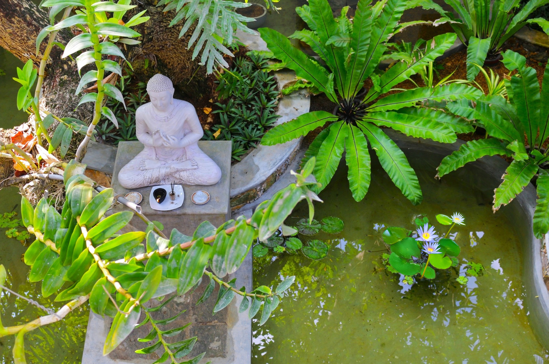 Teich im Innenhof mit Buddha