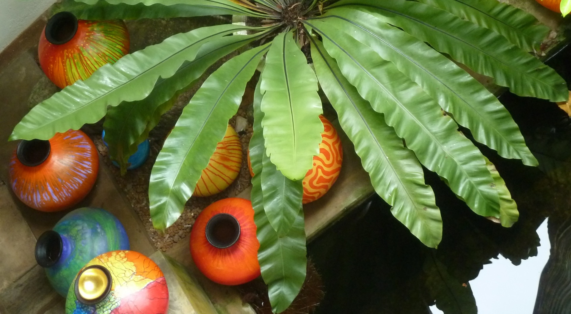 Bunte Krüge am Teich im Ayurveda-Hotel Shakti Villa, Ambalangoda, Sri Lanka