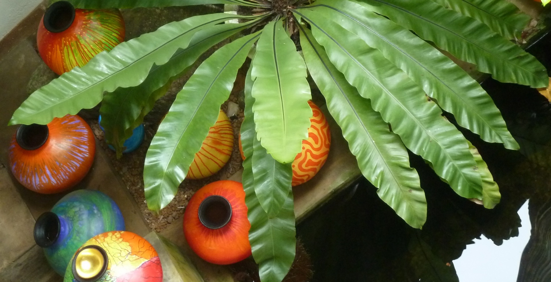 Eingebettet von Palmen haben die Pool-Bungalows eine ideale Lage.