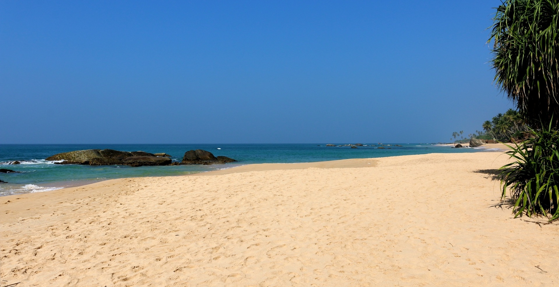 Eingebettet von Palmen haben die Pool-Bungalows eine ideale Lage.