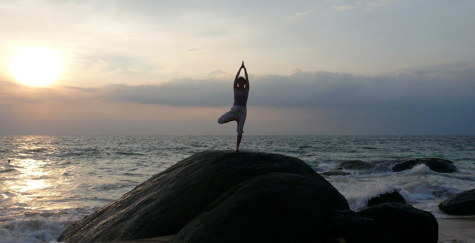 Delphine vor der Küste des "Sri Lanka Ayurveda Garden", Ayurveda-Kurhotel in Ambalangoda auf Sri Lanka.
